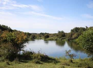 Decision support aimed at balancing natural capital values for a drinking water company managing a dune ecosystem