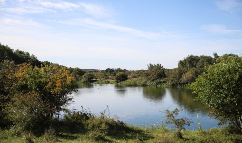 Decision support aimed at balancing natural capital values for a drinking water company managing a dune ecosystem