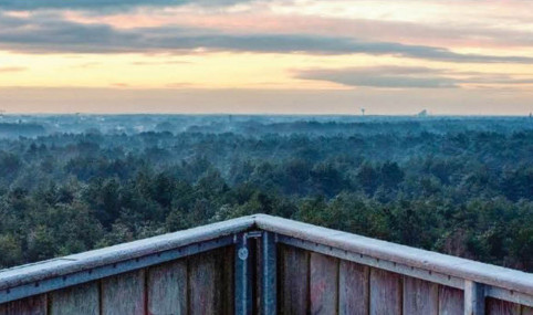 The Bosland Forest Project