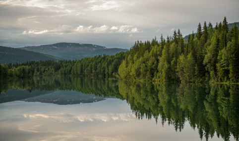 Nature risk screening tools in finance: a review of knowledge gaps in biodiversity metric