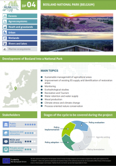 The Bosland Forest Project