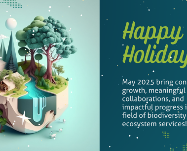 Happy Holidays from the SELINA team